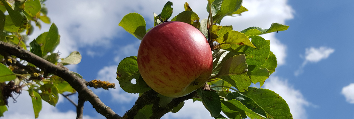 Herzgekicher – kreative Wege ins Selbstbewusstsein und zu mehr innerer Stärke für Kinder einzelneinzeln